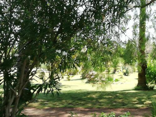 Salento Country House