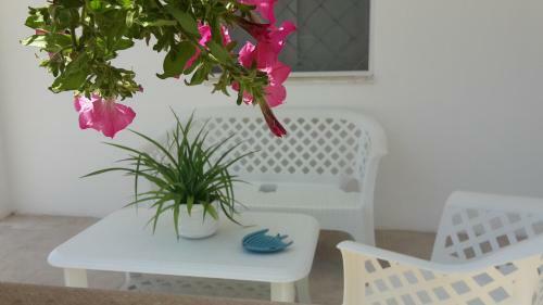 La Casa Degli Ulivi