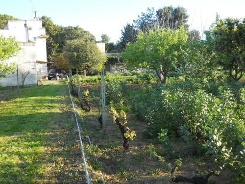Il Giardino Casa Vacanze