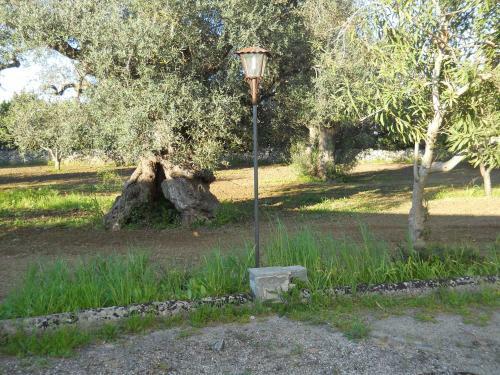 Il Giardino Casa Vacanze