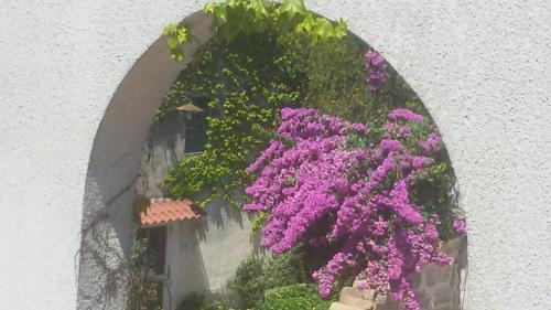 Apartamento Appartamento Con Piscina In Villa (Galatina)