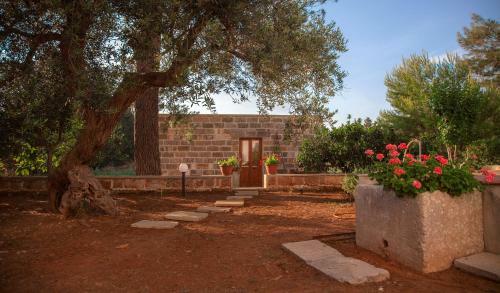 Bed & Breakfast Masseria Fracchicchi