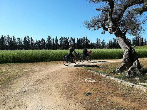 Bed & Breakfast Masseria Fracchicchi