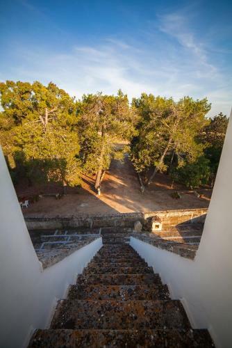 Bed & Breakfast Masseria Fracchicchi