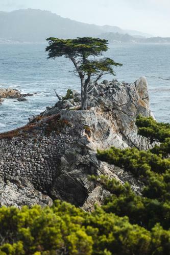 Bed & Breakfast Sea View Inn - Carmel