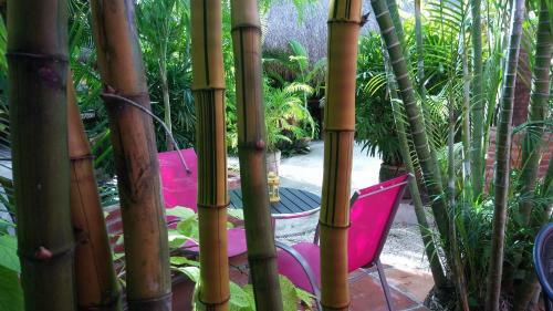 Hotel Don Diego De La Selva