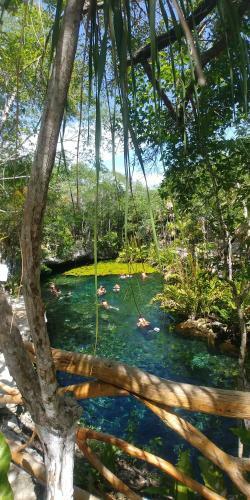 Hotel Don Diego De La Selva