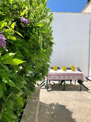 Casa Vacanze Salento - Villa Diso