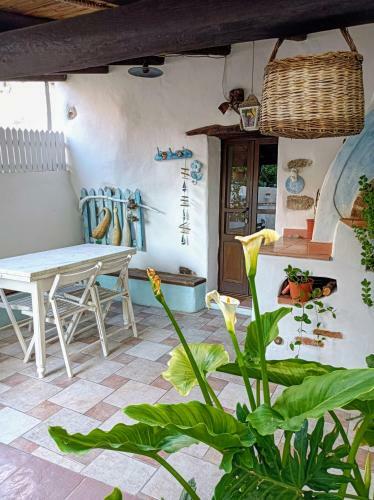 Casa Zola.