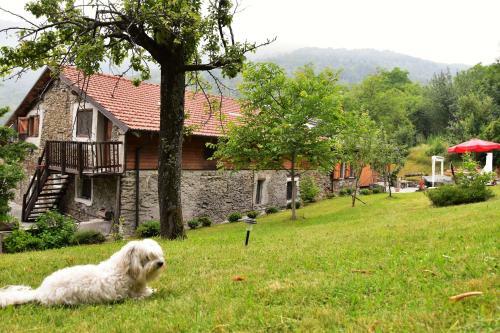 Ca-jo Bed And Breakfast