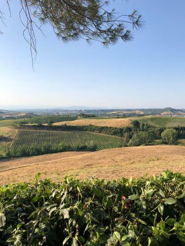 Apartamento Podere Boscone