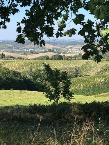 Apartamento Podere Boscone