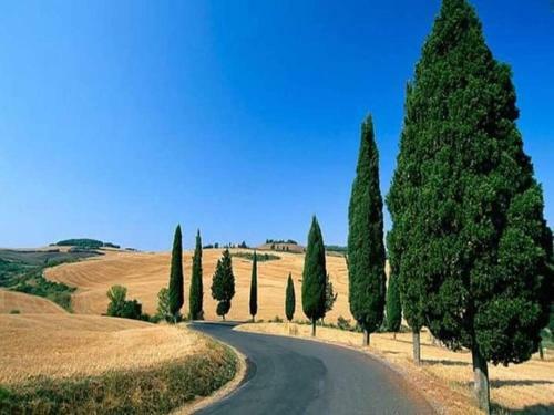 Apartamento Casetta Nel Borgo