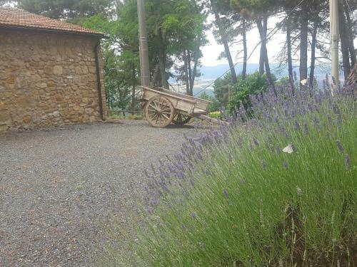 Casa Vacanze "l'aione"