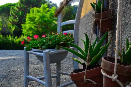 Casa Vacanze "l'aione"