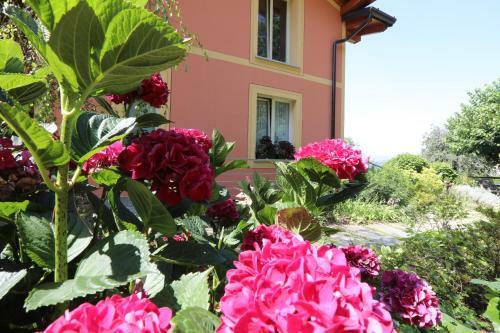 Bed & Breakfast Il Nido Al Lago