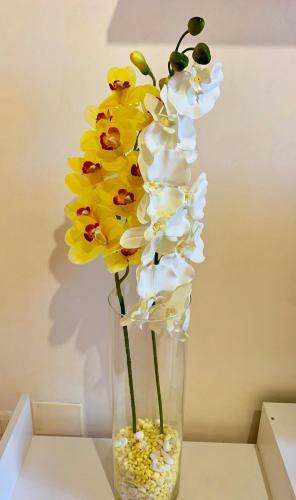Apartamento Orchidea Gialla