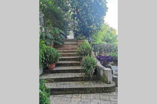 Oasi Di Pace A Gaeta