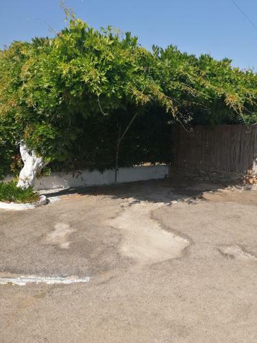 Country House Gaeta