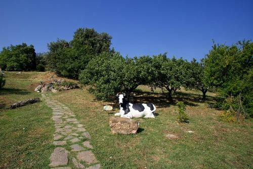 Villa Giulia A "casa Conti Di Sotto"