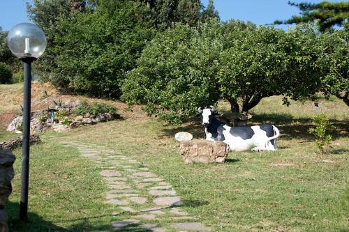 Villa Giulia A "casa Conti Di Sotto"