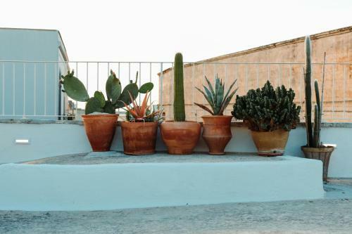Bed & Breakfast Corte Largo Lauro Dimore & Spa