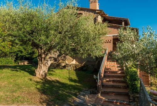 Apartamento Podere La Tona