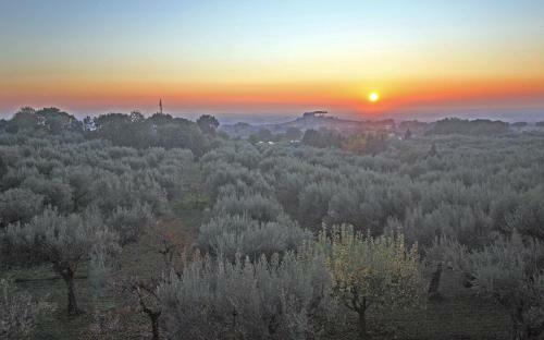 Apartamento Villa Stauder