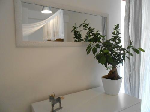 Hostal Casa Bella