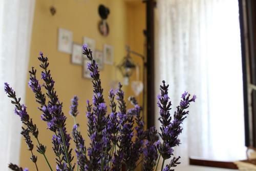 Bed & Breakfast Le Fiorini