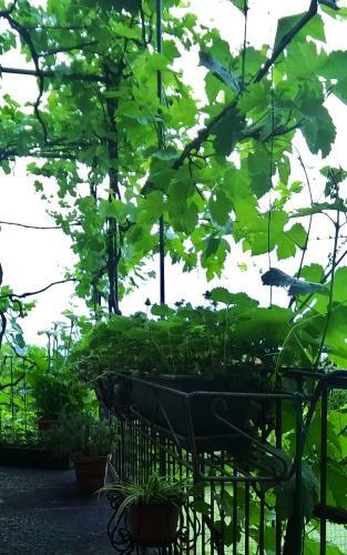 Bed & Breakfast Le Fiorini