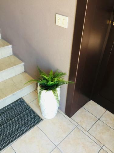 Hostal Residenza Manfredi Silvia