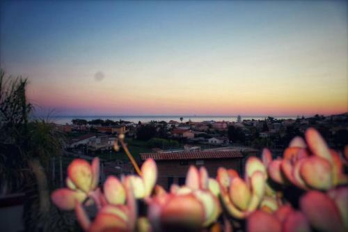 B&B Villa Marinetti