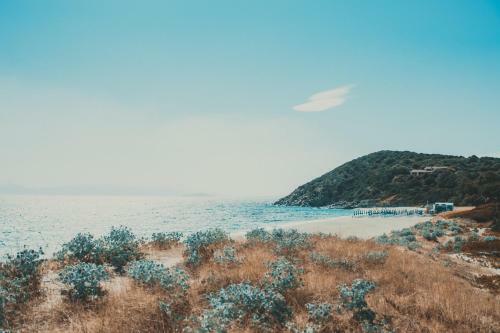 Carolina's Beach House