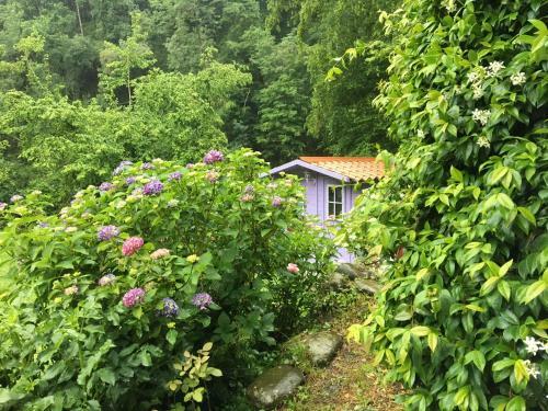 Relax Totale Nel Bosco Lucca