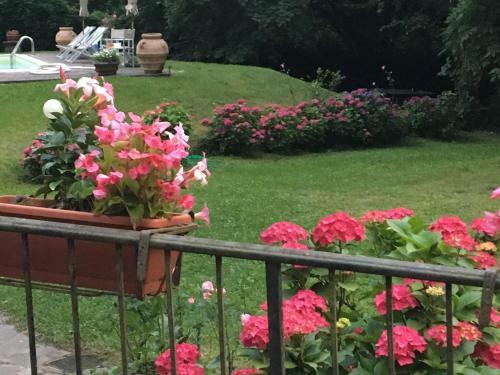 Relax Totale Nel Bosco Lucca