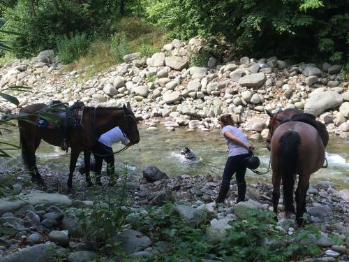 Relax Totale Nel Bosco Lucca