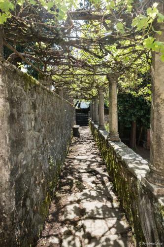 Villa Ancient Manor With Private Pool In Tuscany