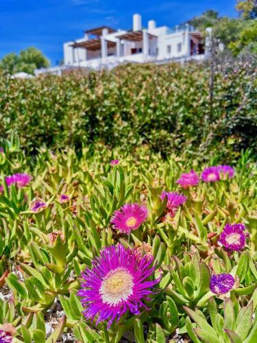 Apartamento Beachfront House Geremeas Sardegna