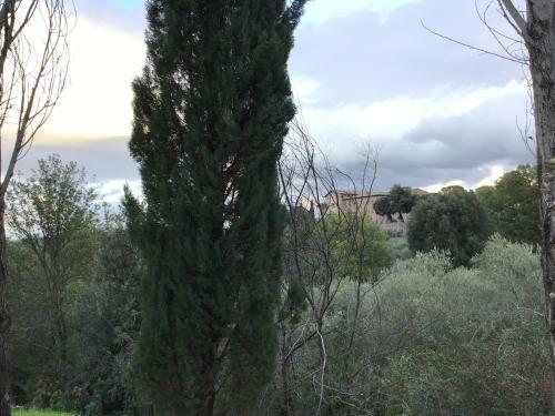B&B La Campanella