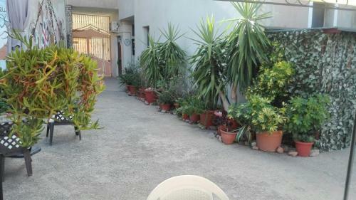 B&B Domu Delunas