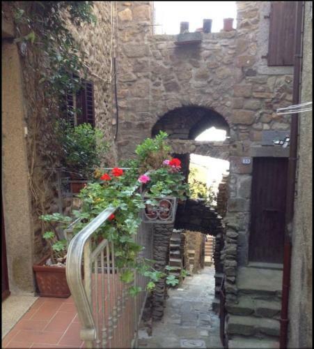 Apartamento Accogliente Monolocale