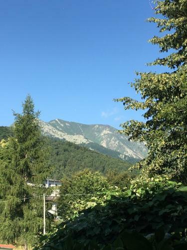Bed & Breakfast Lo Scoiattolo