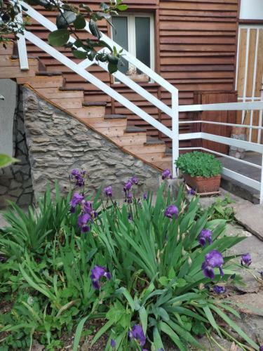 Bed & Breakfast Lo Scoiattolo