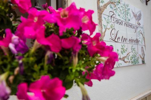 Hostal Casa Vacanze Le Tre Civette