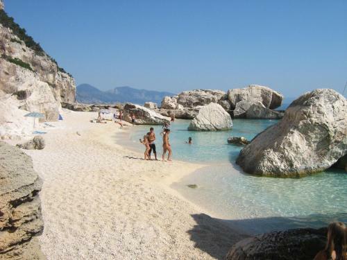 Agroturismo Domus Cocco