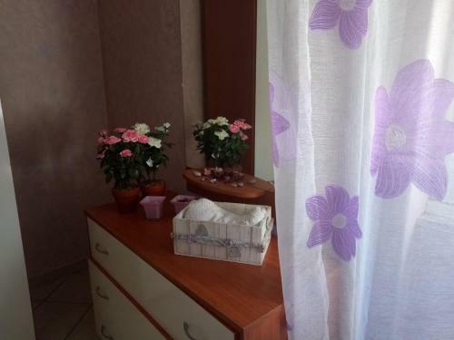 Apartamento Roses