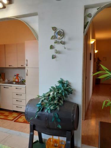 B&B Mistral Di Lizzio Salvatore