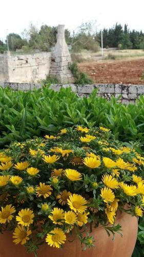 Apartamento Villetta Orchidea