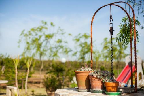 Bed & Breakfast Villa Marida